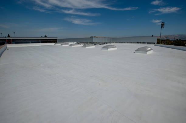 Best Asphalt Shingle Roofing  in Spring Valley, NV