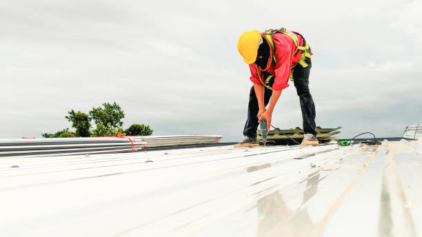 Best Gutter Installation and Repair  in Spring Valley, NV