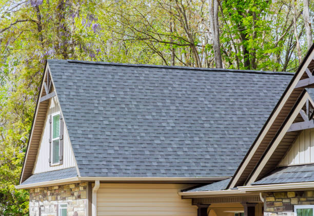 Best Rubber Roofing (EPDM, TPO)  in Spring Valley, NV